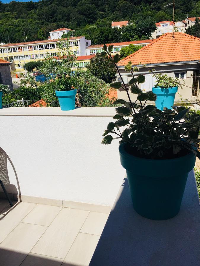 Apartments Paula كورتْشولا المظهر الخارجي الصورة