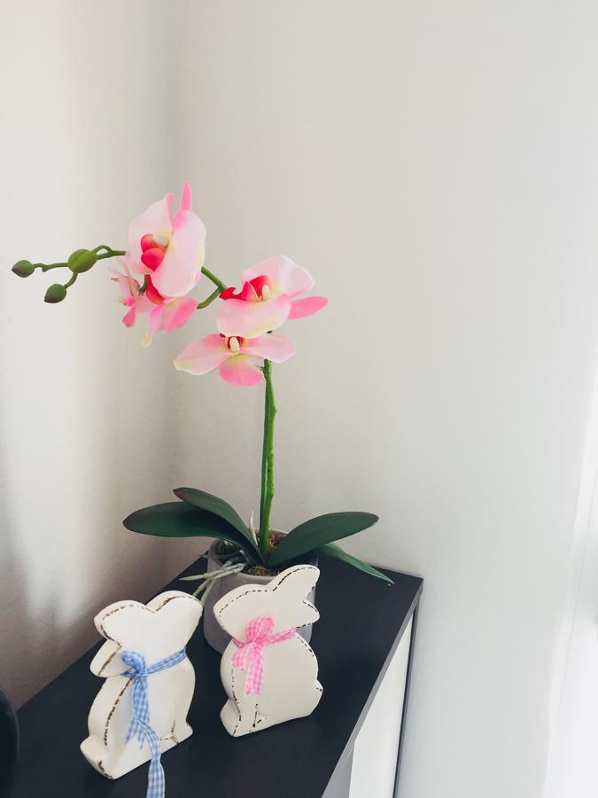Apartments Paula كورتْشولا المظهر الخارجي الصورة